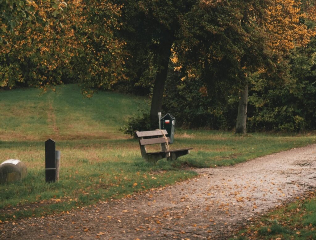 Peaceful autumn landscape featuring a wooden bench under vibrant trees in a Sittard park.